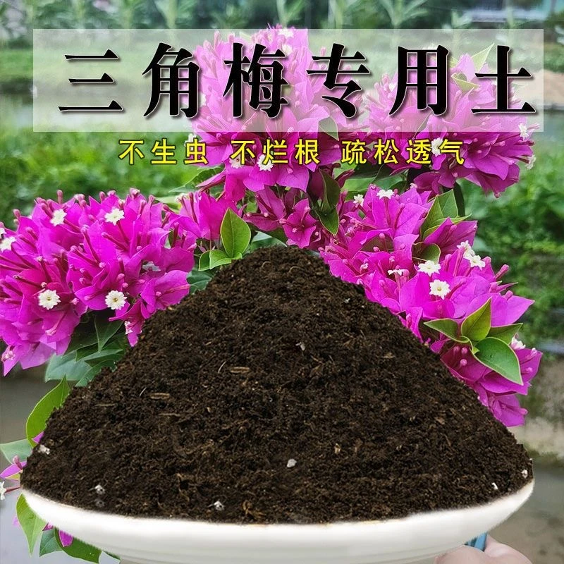 三角梅四季勤花专用营养土5.5斤装