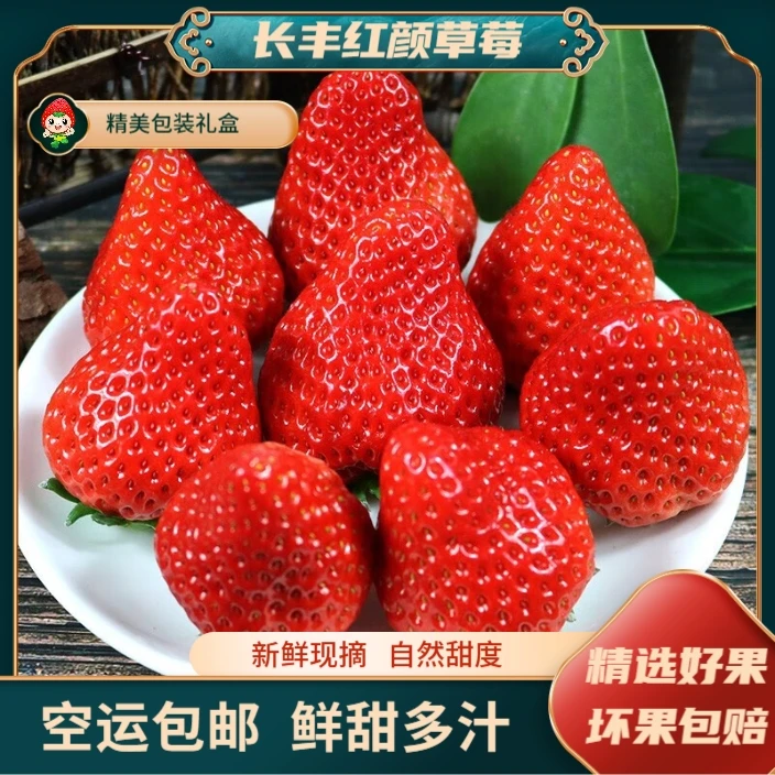 【礼物首选】正宗长丰红颜奶油草莓新鲜现摘红颜九九草莓新鲜水果