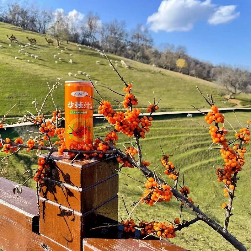关山情厂家直发新品上市关山情特产沙棘汁246ml*4罐