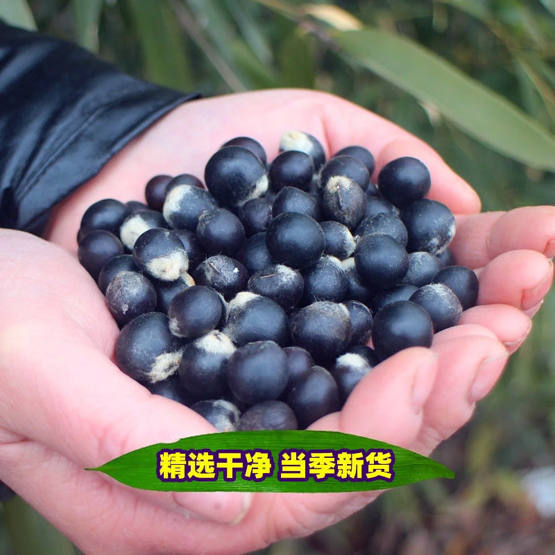 无患籽无患子果核菩提子圆皂角可做佛珠手串天然随机大小不挑1斤