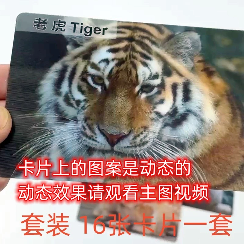 域高2-6岁  早教益智 儿童启蒙 动画卡片  激发好奇 亲子互动有趣