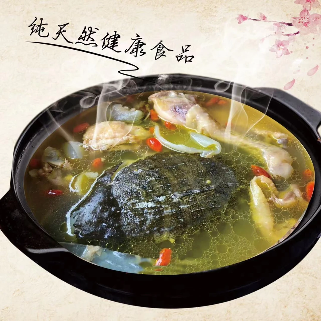 “跑马汤”视频教学，学会可开店