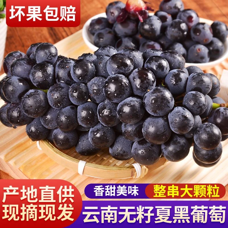 顺丰夏黑无籽葡萄水果无核现摘现发当季孕妇儿童新鲜大果产地直发