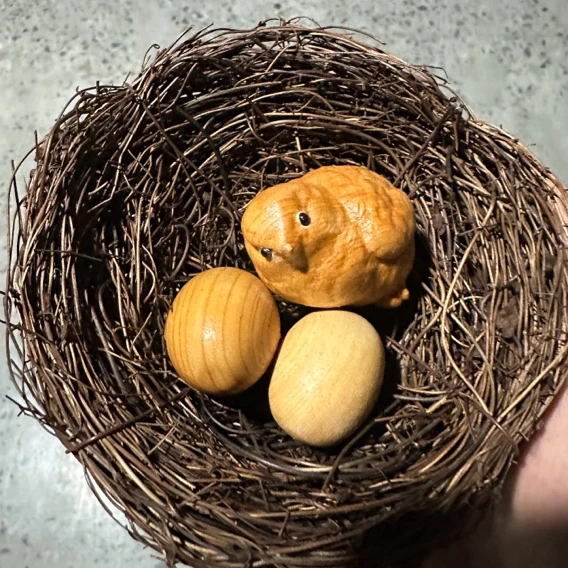 鸟窝鸟巢道具空间搭配创意禅意