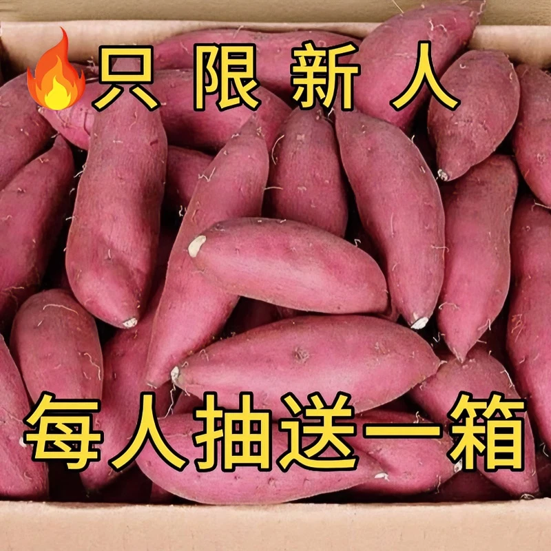 【抢购中】超甜沙地蜜薯1-10斤新鲜红薯地瓜番薯黄心板栗薯烟薯蔬菜