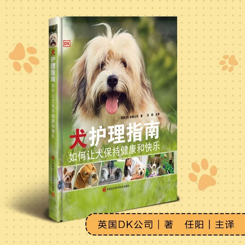 正版包邮 犬护理指南：如何让犬保持健康和快乐 任阳