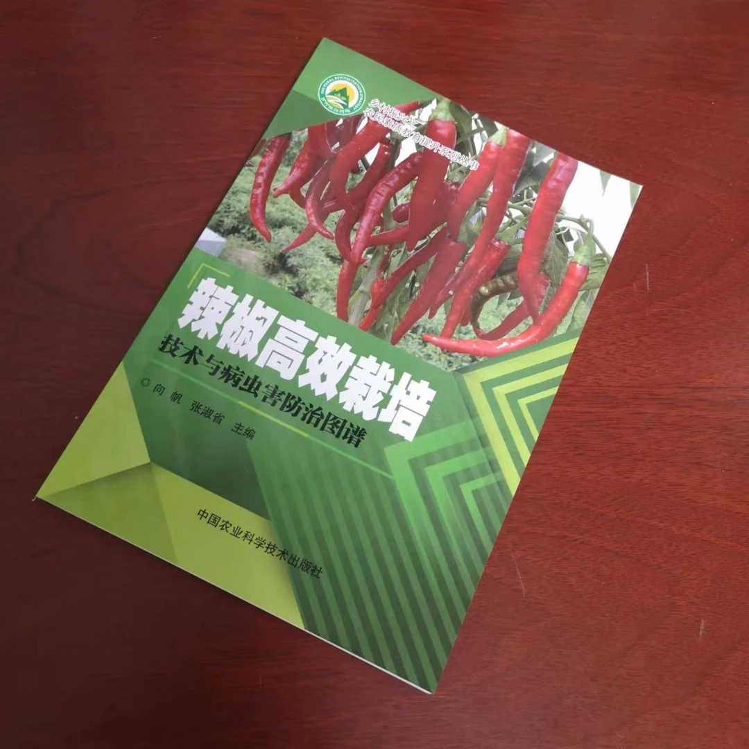 正版包邮辣椒高效种植栽培技术与病虫害防治图谱书籍向帆，张淑省