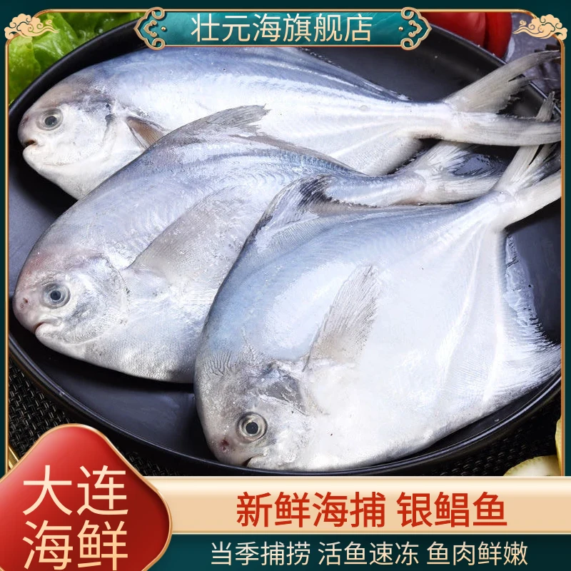 【顺丰包邮】银鲳鱼400g*4袋肉嫩