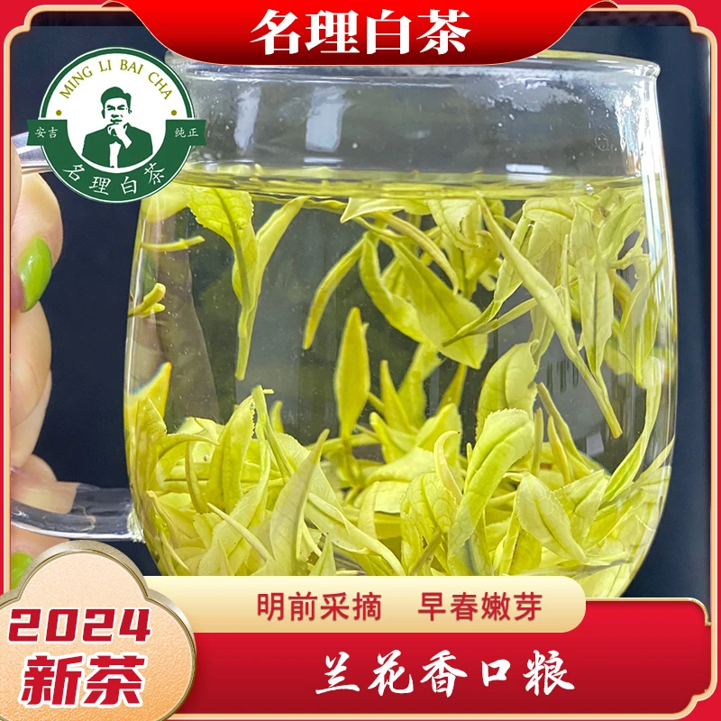 名理白【兰花香口粮】2024新茶掌柜精选安吉原产明前特级甘甜绿茶叶