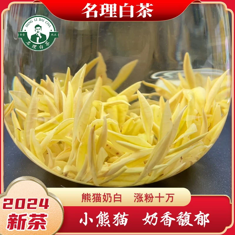 名理白【2024新茶】小熊猫黄金芽奶香安吉原产白茶团购特级送礼