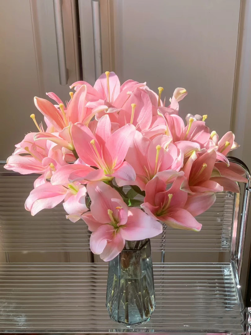 布林迪西亚百合小头一头10支  鲜花批发花店摆地摊鲜花基地