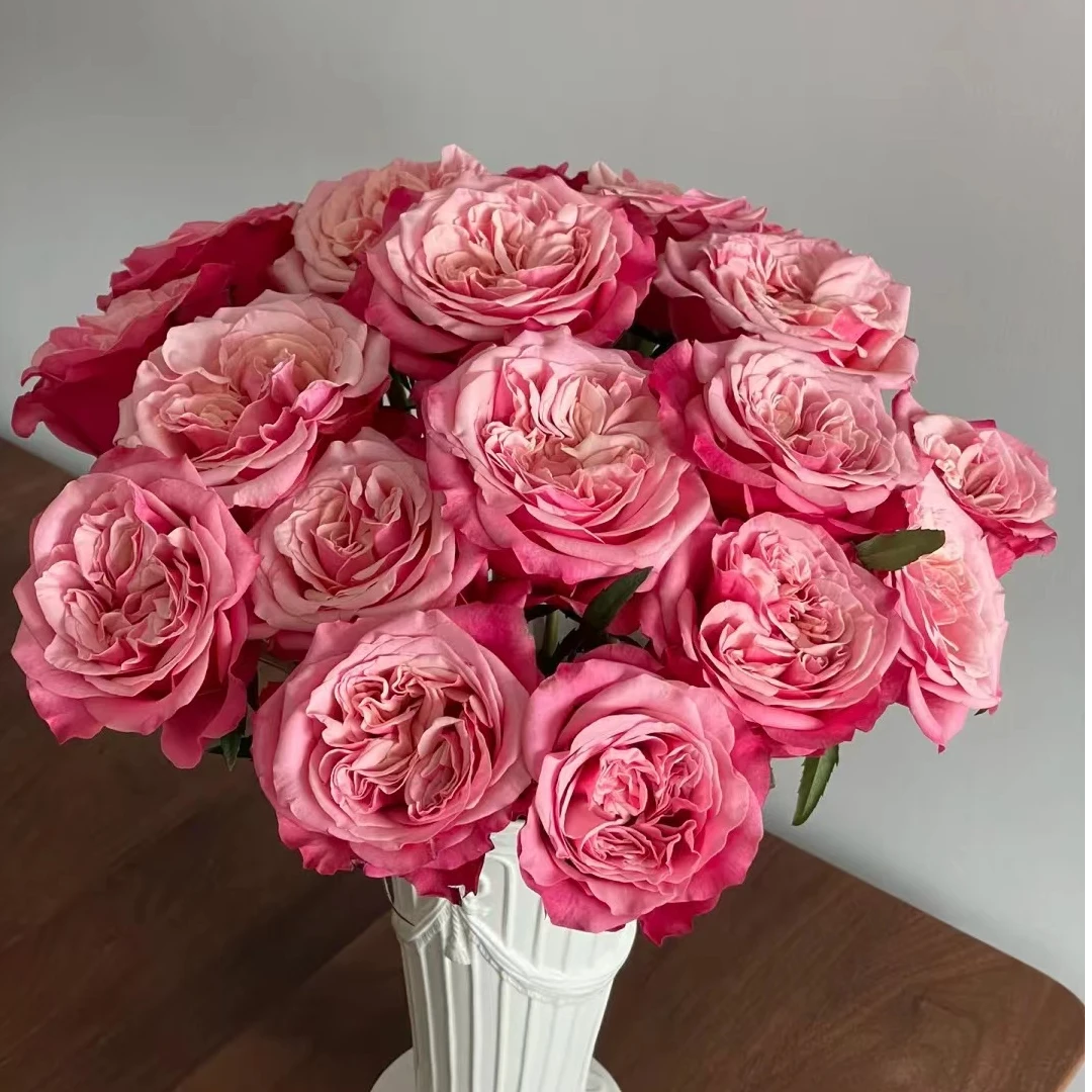 闺蜜玫瑰15+5支补损      批发花店摆摊直发一手货源