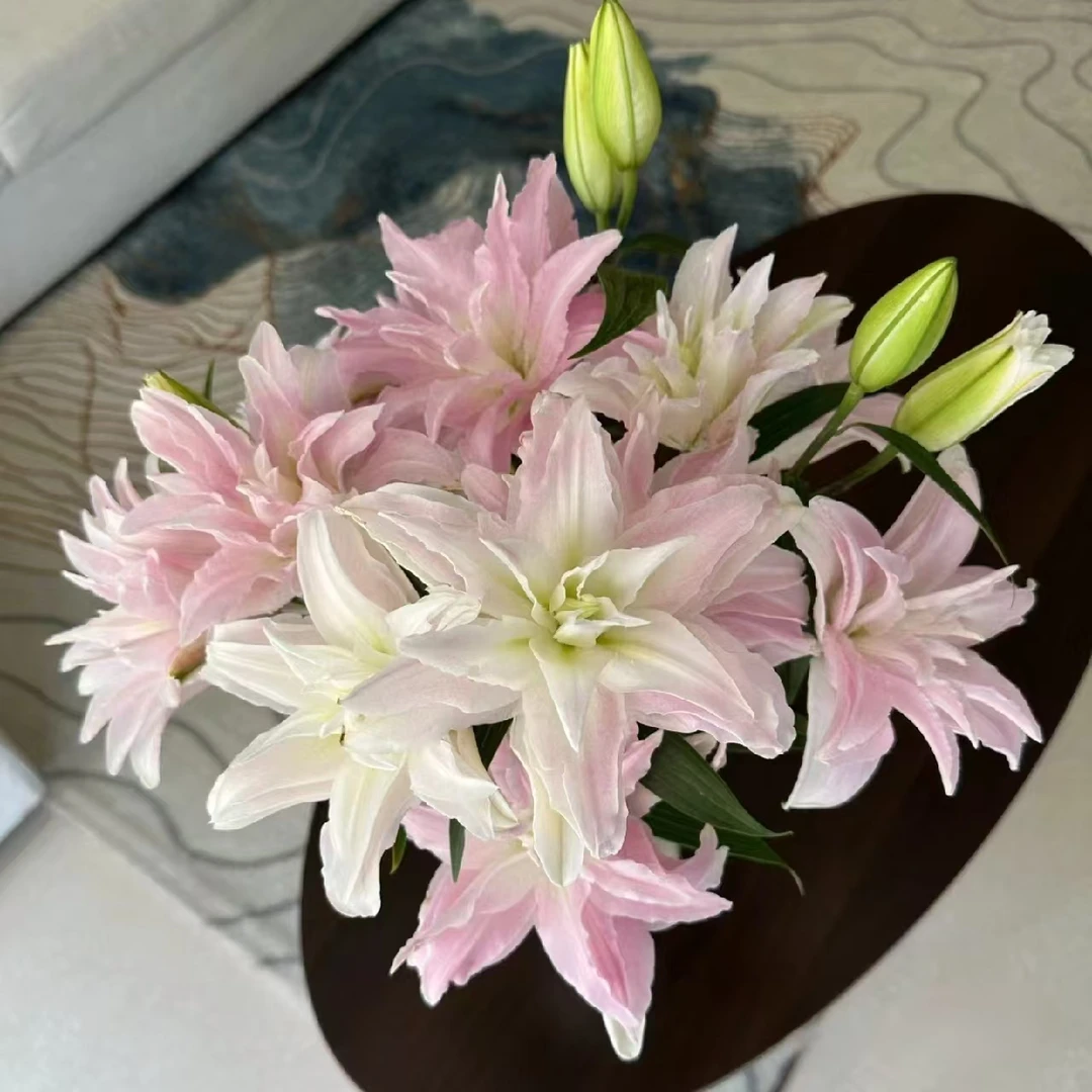 三头粉嘟嘟重瓣百合4支（12朵）25.9 花店摆地摊基地直发一手货源