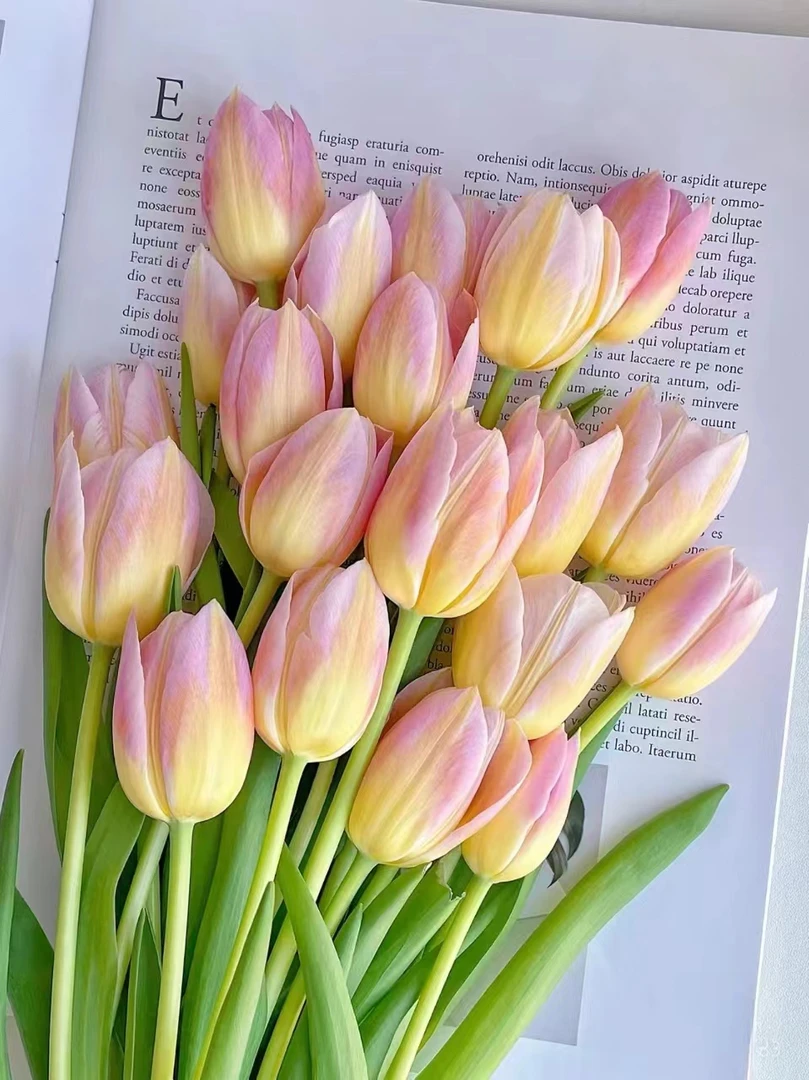 初恋郁金香一把（一把10支） 批发花店摆地摊直发一手货源