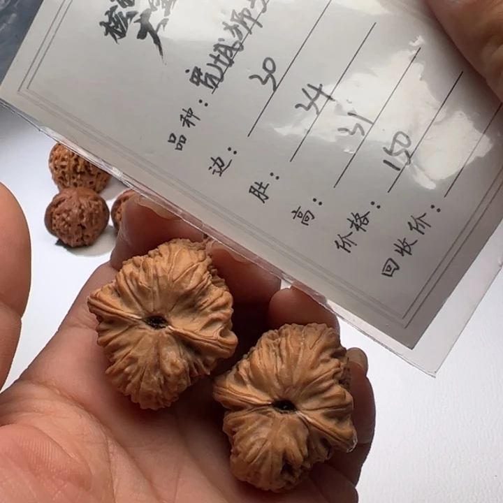 文玩核桃把件宽城狮子头134