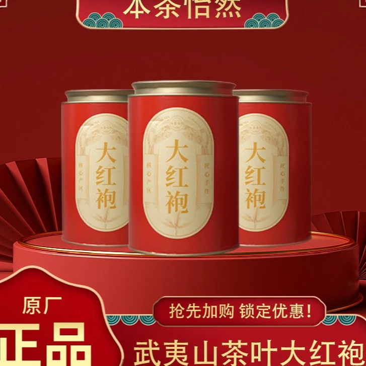 本茶怡然武武夷山茶叶大红袍岩茶乌龙茶叶特级浓香型茶叶 100g