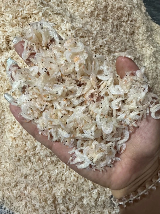 虾皮 淡干虾皮  净重