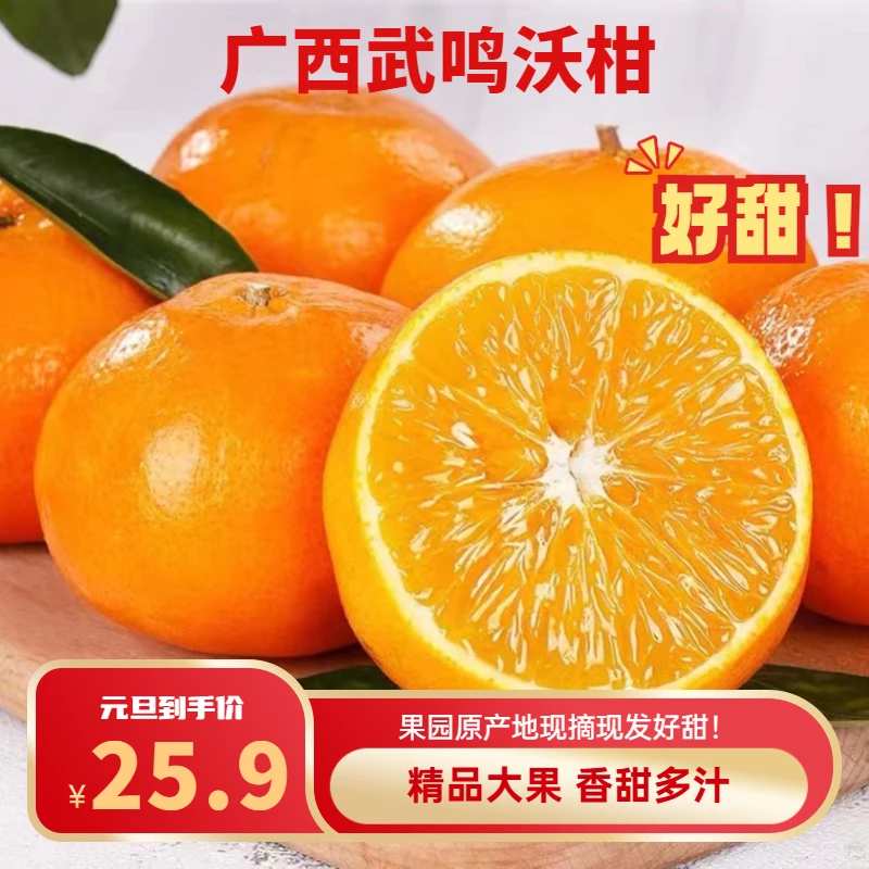 广西武鸣沃柑现摘成熟橘子水果新鲜桔子脆嫩颗粒多汁爽口爆汁金桔