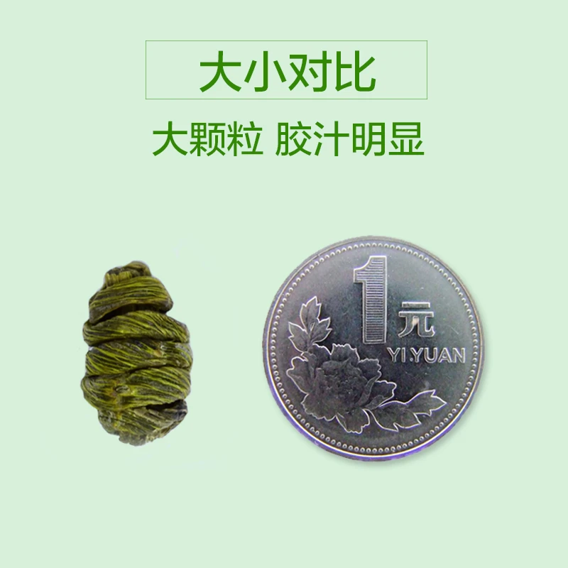 正宗乐清雁荡山铁皮石斛枫斗花新鲜条礼盒100-500g 滋补品营养