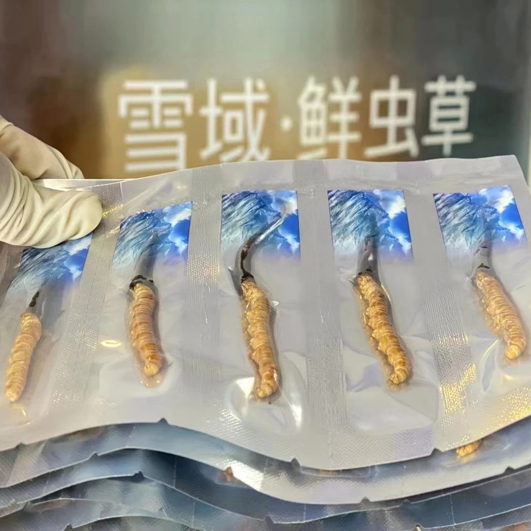 青海玉树果洛山新鲜高海拔天然冬虫夏草50根（0.6克-1克/根）