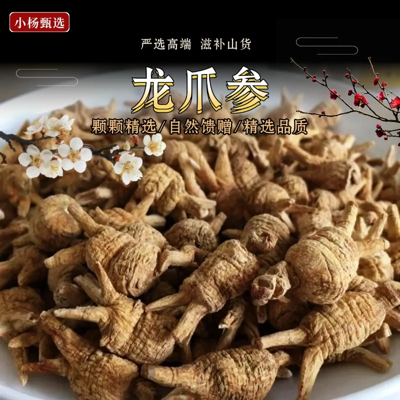 [龙爪参]精品高级龙爪参小杨家推荐特选云南好山货搭配枸杞XY