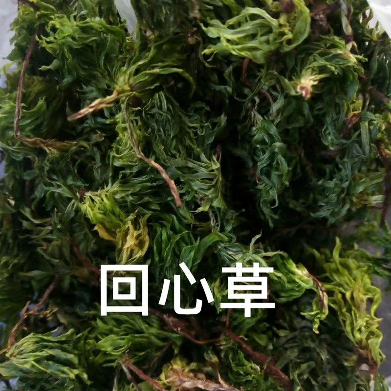 云南大土豆   大南瓜