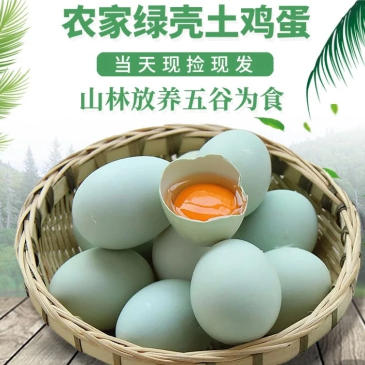 【鸡蛋妹】正宗农家散养乌鸡蛋 现捡现发50枚 营养农产品土鸡蛋绿壳