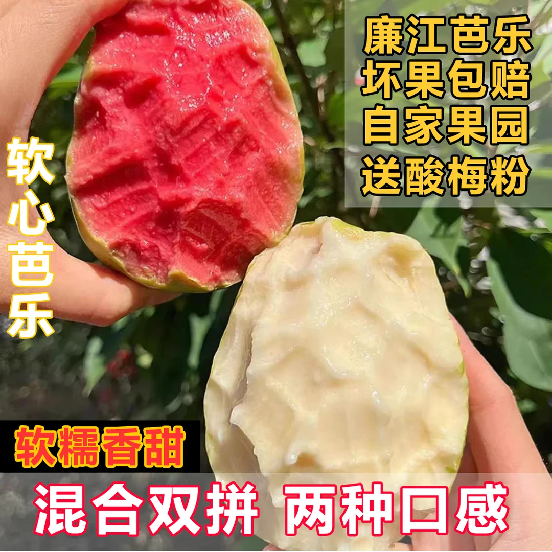 广东红心芭乐软糯香甜白心番石榴奶油芭乐冰淇淋口感低糖树上现熟