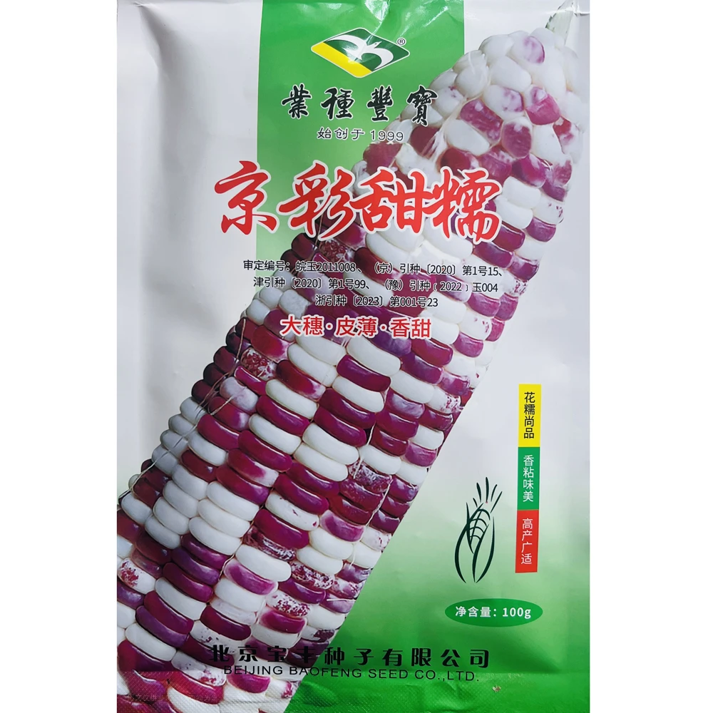 京彩甜糯玉米种子大棒皮薄香甜春秋播种抗病高产玉米种子