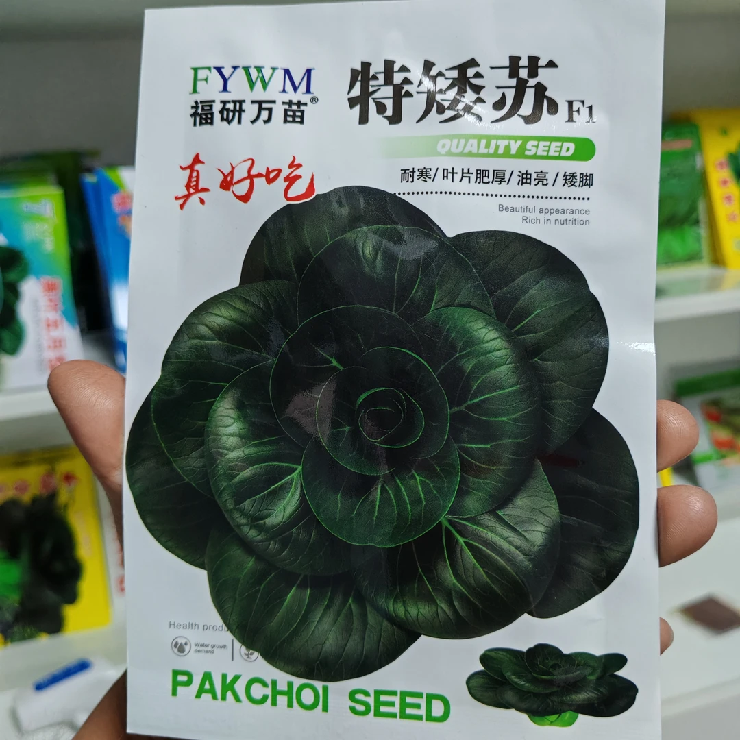 特矮苏矮脚青梗菜种籽高产耐寒耐冻黑亮矮箕趴地苏州青黑菜种原装