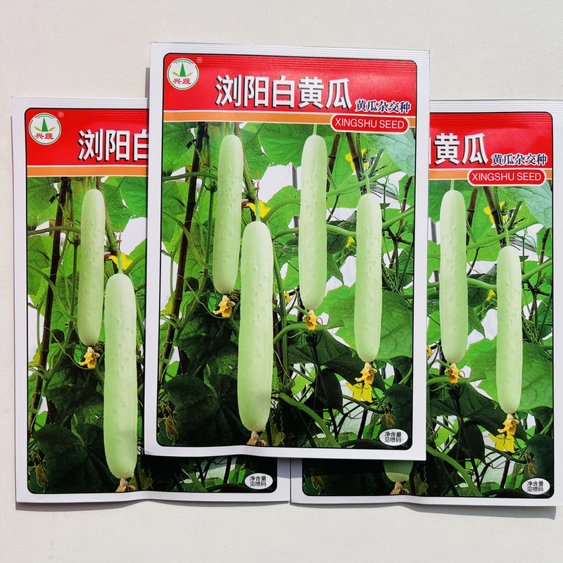 浏阳白黄瓜种子奶油黄瓜种子白皮水果黄瓜籽黄瓜本地白黄瓜小黄瓜