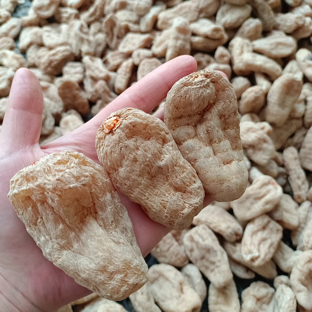 草伊颜昭通天麻小草坝天麻干货天然不熏硫磺