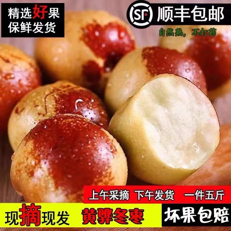 正宗黄骅冬枣脆甜多汁新鲜水果5斤包邮应季鲜枣特产产地直发成熟