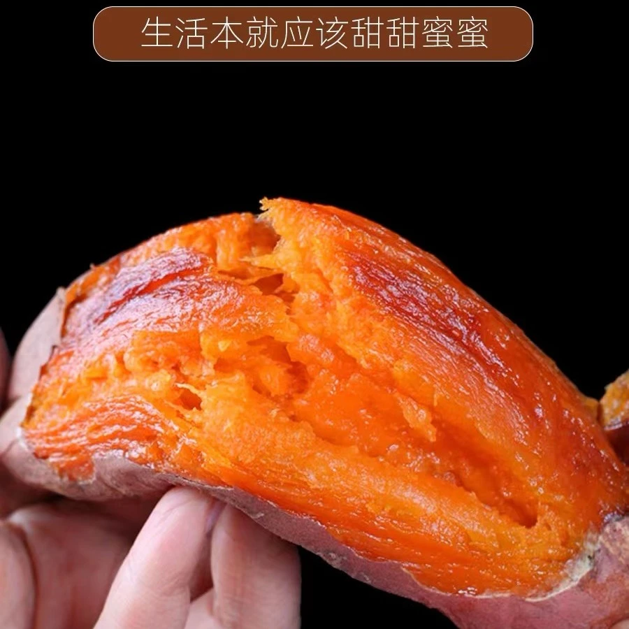 山东产地直发正宗烟薯25净4.5斤专业烤薯沙土地种植溏心蜜甜