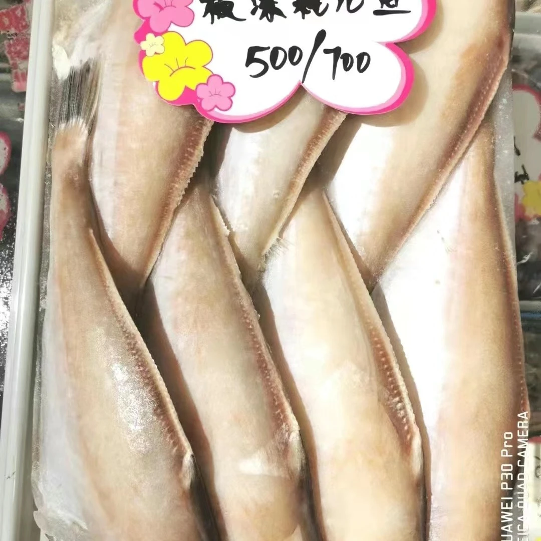 新鲜冷冻板冻500/700耗儿鱼扒皮鱼马面鱼火锅干锅食材