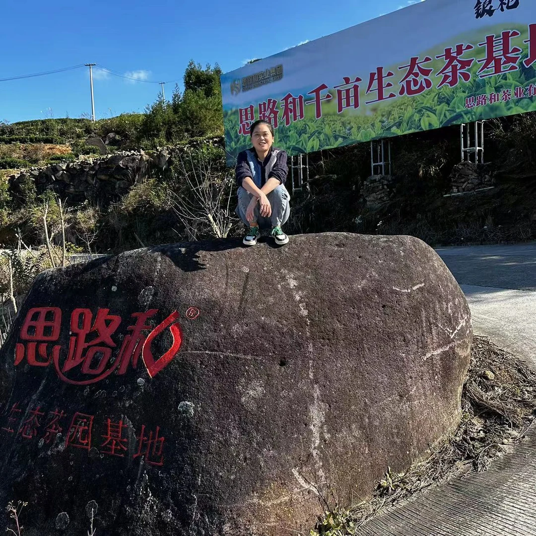 【管阳镇·思路和】大洋山2017年一级春寿眉饼100g福鼎白茶