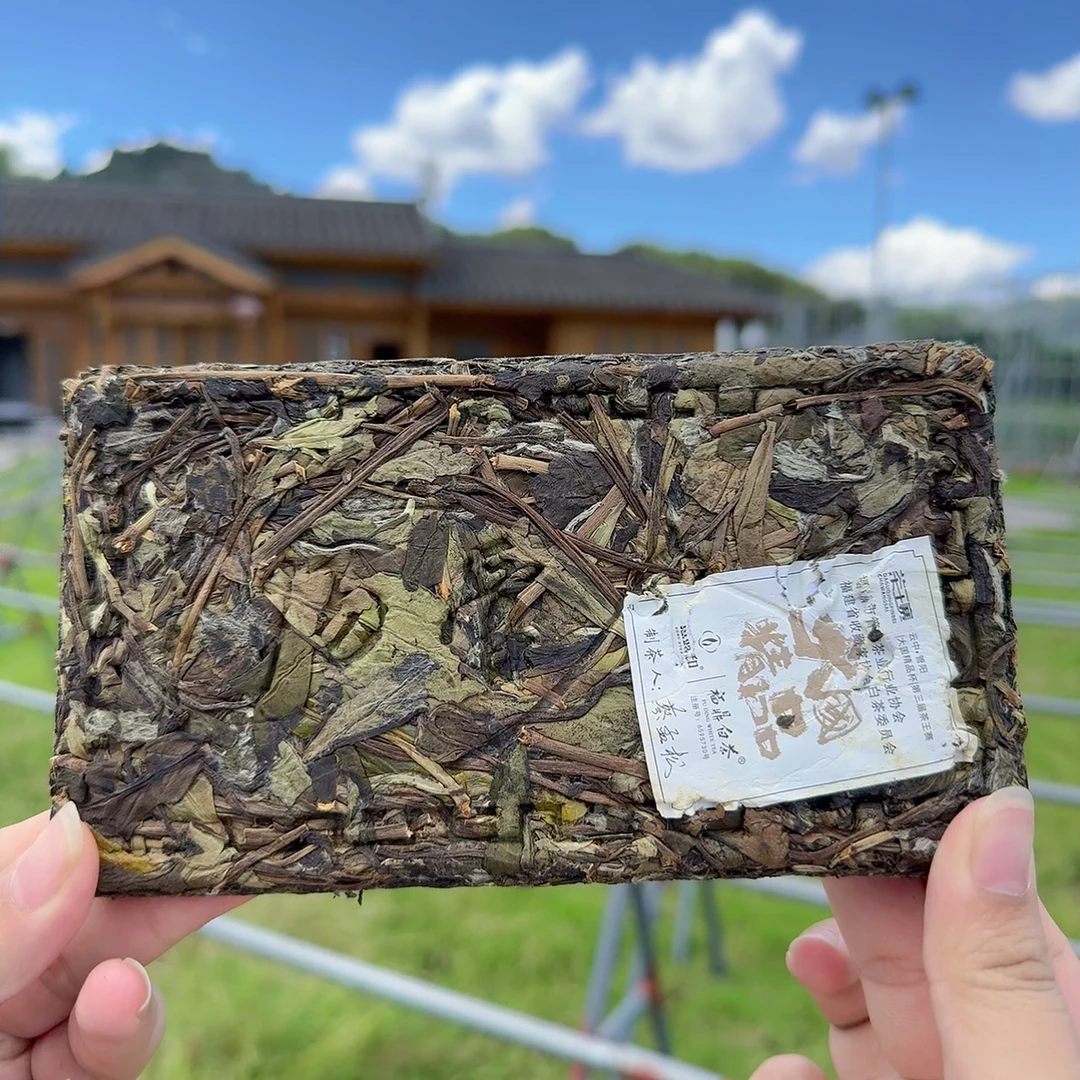 【管阳镇·思路和】2024年南山荒野紧压砖250g福鼎白茶