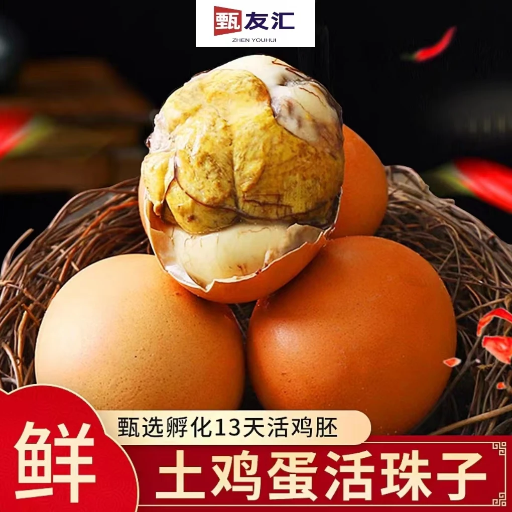 活珠子/毛胚蛋凤凰蛋钢化蛋毛蛋 新鲜13天红壳活珠子汤汁鲜美无骨