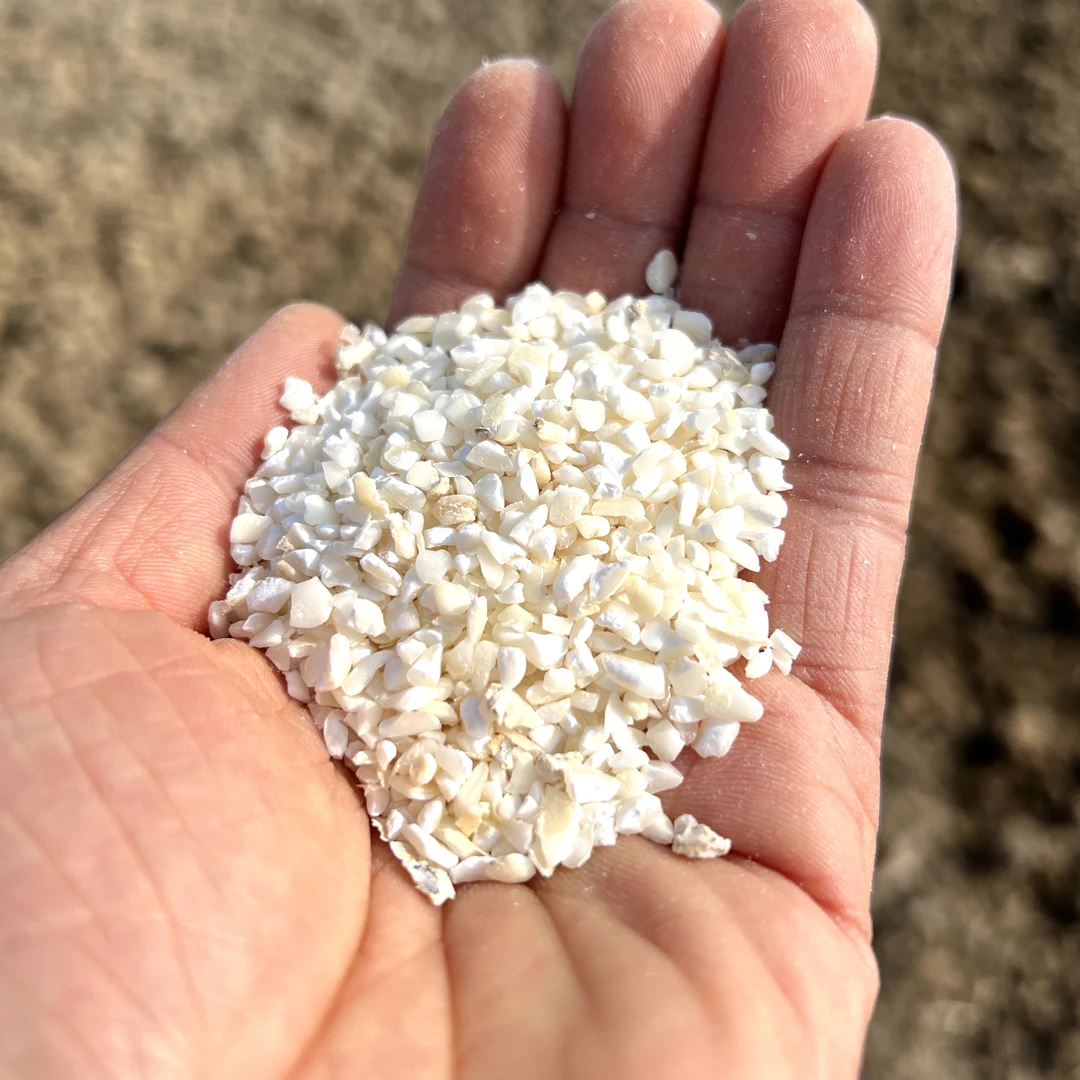 【三天农场自种丨略有瑕疵】生态甜糯玉米糁  2kg/份