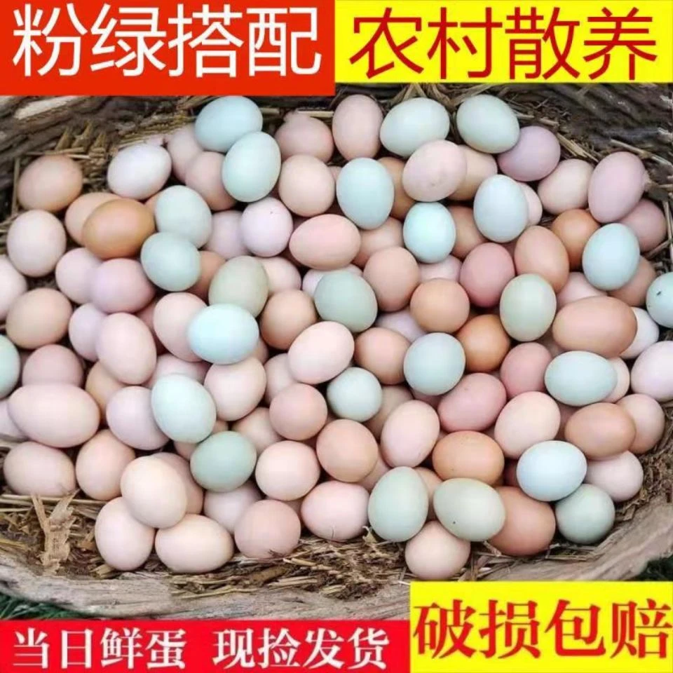 农家山林散养土鸡蛋绿壳乌鸡蛋新鲜土鸡蛋组合混装鸡蛋多规格可选