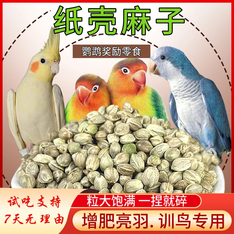 甘肃纸壳麻子鹦鹉奖励零食大粒玄凤牡丹和尚鸟粮饲料火麻籽鸟食