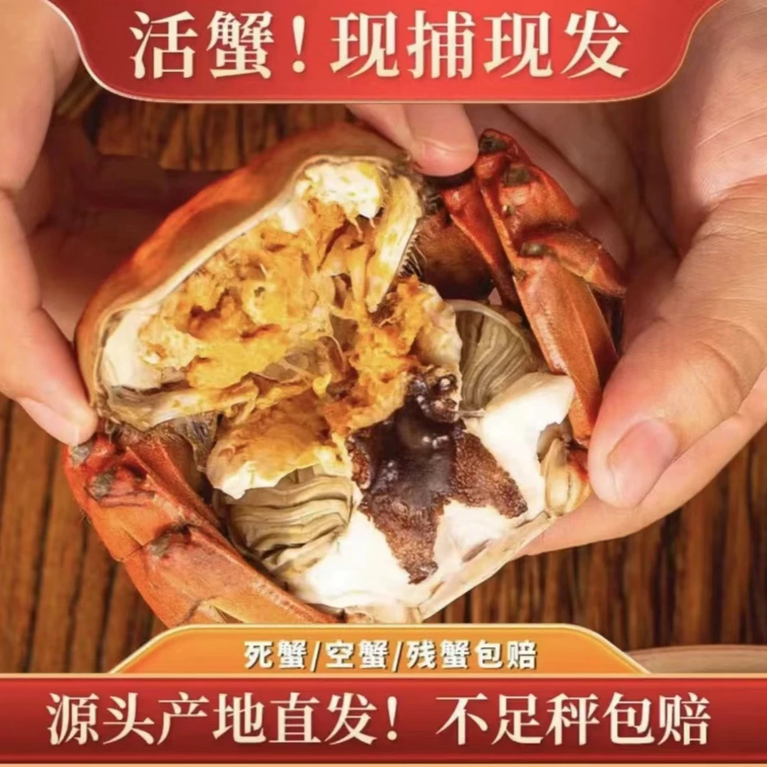【活蟹】盘锦河蟹稻田河蟹20只/母10只/公 0.8-1两/只顺丰包邮