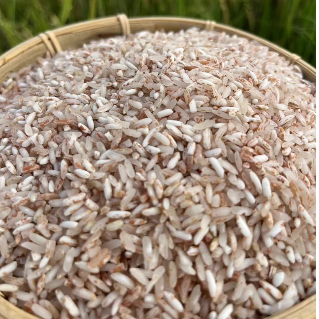 助农双江软红米2024新米10斤装