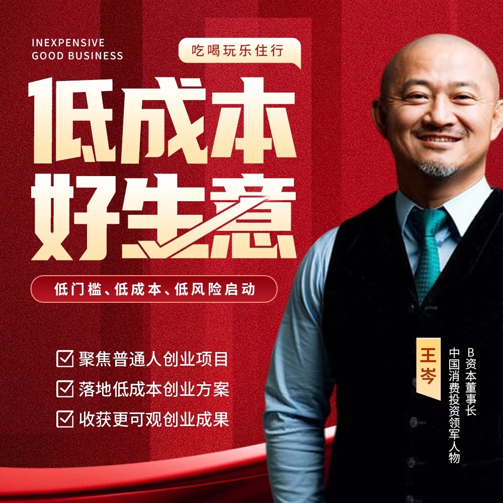【官方正版】王岑：低成本好生意（视频课）