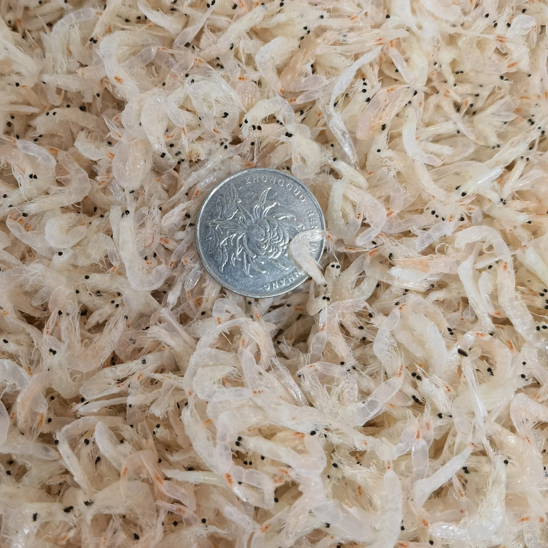 淡干小虾皮9成干