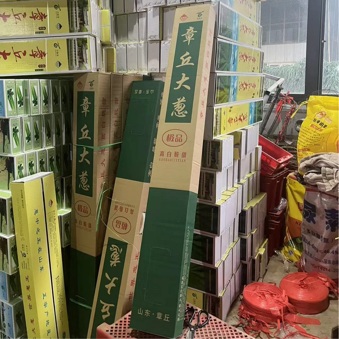 特选章丘大葱 1.5米礼盒包装  6斤装