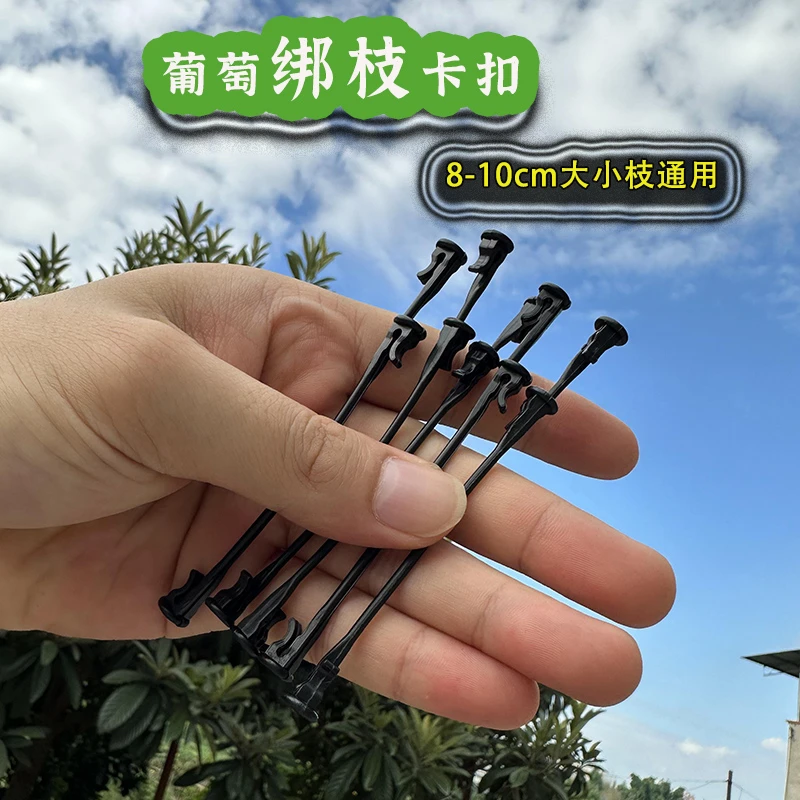 全新熟料葡萄绑枝卡扣猕猴桃绑枝铁丝拉钩图钉按压式不伤手抗老化