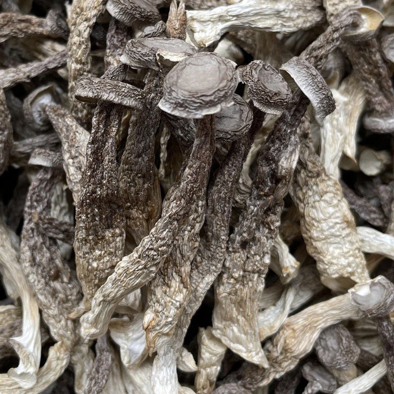 精品鹿茸菇干货脆脆菇
