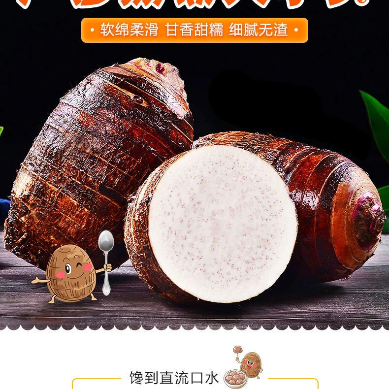 众匠生鲜荔浦芋头产地直发