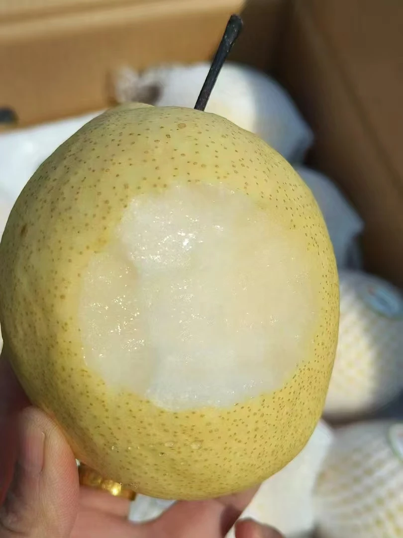 天山雪梨3斤左右